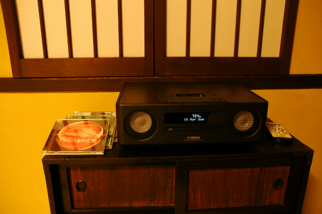 Stereo system with iPod docks
